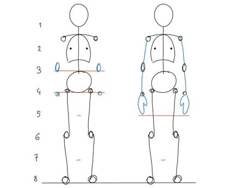How To Draw Body Proportions How This Works In Profile Art