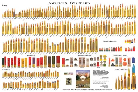 This Poster Contains Life Size Standard Ammunition Cartridges That Are