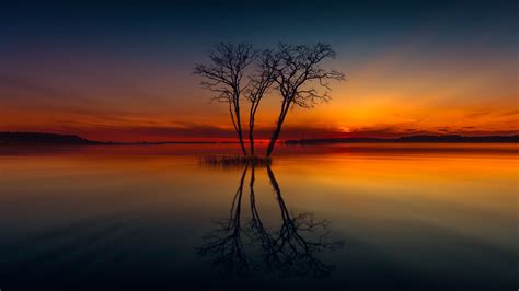 1920x1080 Horizon Lake Nature Reflection Sunset Tree