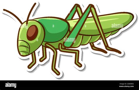 Sticker Design With A Green Grasshopper Isolated Illustration Stock