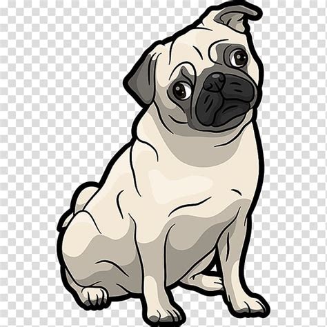 Transparent Background Pug Png Fawn Pug Pugs In Costumes Birthday