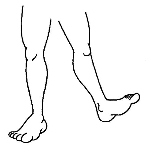 Раскраска Ноги Человека Telegraph