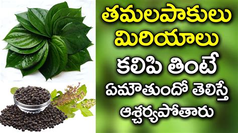 Amazing Benefits Of Betel Leafs And Black Pepper Best Health Tips In