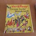 Buch Walt Disney Grosse Bunte Wunderwelt | Kaufen auf Ricardo
