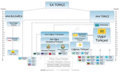 Türkçe nin Soy Ağacı Soy ağaçları Türkçe Dil