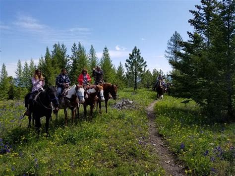 The Best Kalispell Horseback Riding Tours Updated 2023