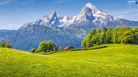 Bavaria Germany House Forest Viewes Alps Mountains Berchtesgaden