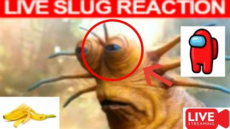 Live Slug Reaction Meme Youtube