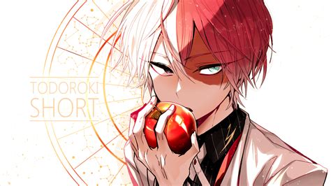 Pictures are for personal and non commercial use. Shoto Todoroki 4K 8K HD My Hero Academia (Boku no Hero ...