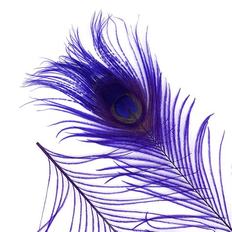 Peacock Feathers 5 To 100 Pieces Regal Purple Bleached Dyed Tails