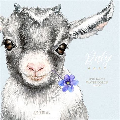 Baby Goat Watercolor Clipart Nursery Art Little Animals Baby Shower