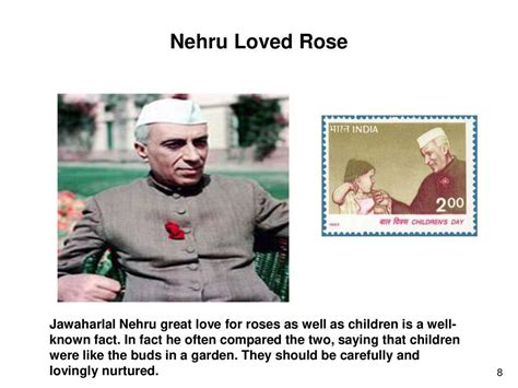 Jawaharlal Nehru With Rose