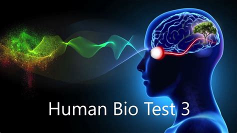 Human Bio Test 3 Review Youtube