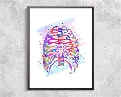 Ribs Print Rib Cage Human Skeleton Art Rainbow Printable Human Skeleton