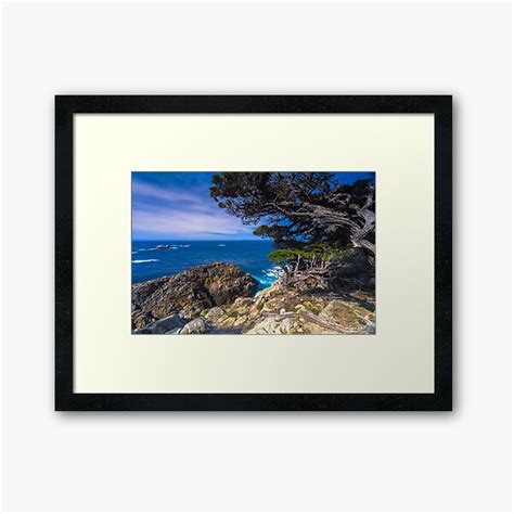 Big Sur Point Lobos State Park Point Lobos Framed Art Print For Sale