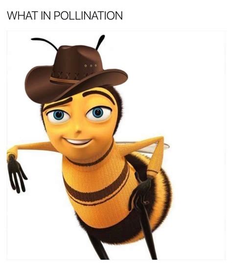 Bee What In Tarnation Bee Movie Memes Bee Movie Funny