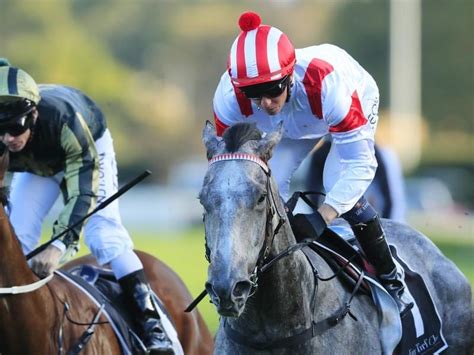Randwick Races Horse Betting Tips And Epsom Day Meeting Preview Horse