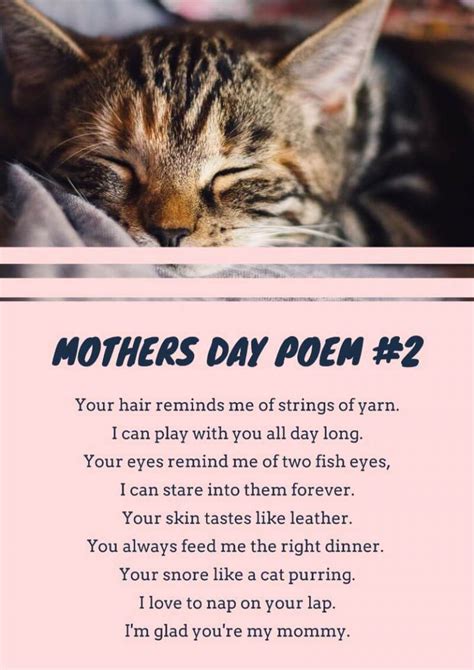 16 poemas de gato para crianças para ler 🐈 imagine forest flonchi