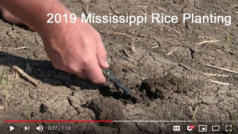 2019 Mississippi Rice Planting Youtube