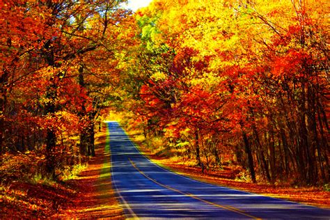 16 Places To See Fall Foliage In The South Usa Southern Trippers