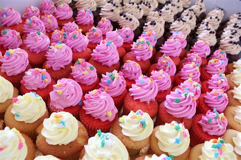 Cupcakes Cakeworks Bakery