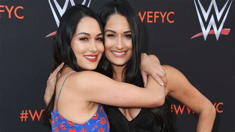 “the Bellas Are Definitely Going To Make A Comeback” The Bella Twins