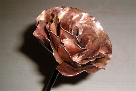 Flickrpcajqiw Copper Rose A Copper Rose On A Steel Stem