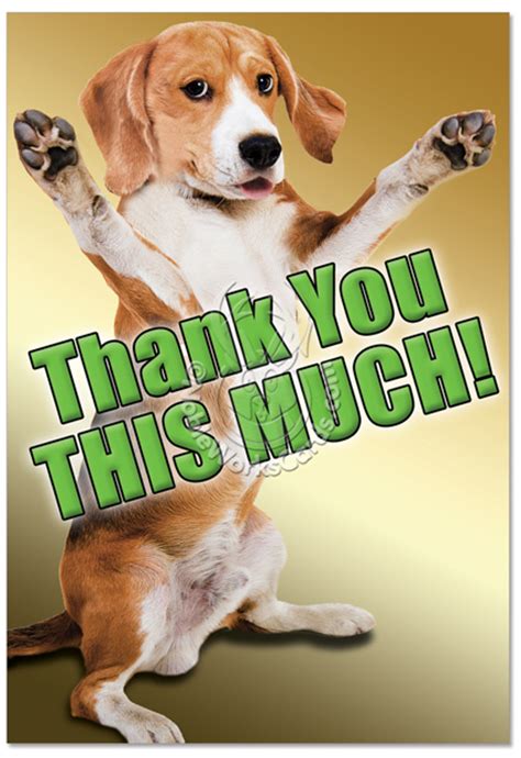 Thank you cards kids birthday party thank you notes. This Much Dog Petigreet Thank You Paper Card Nobleworks