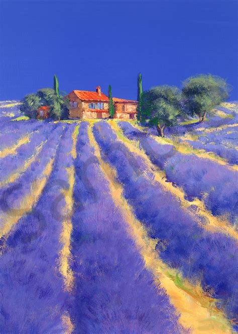 Lavender In Tuscany