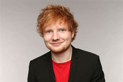 Ed Sheeran Faces Council Probe Over Wooden Gazebo