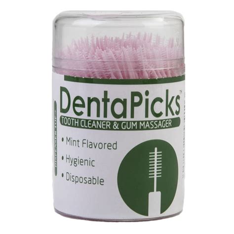 Dentapicks Plastic Toothpick Dental Floss Teeth Cleaning Tools 300