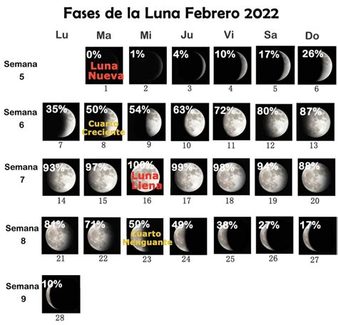 Fases De La Luna Febrero 2022 Visibilidad Signo Del Zodíaco Hora De