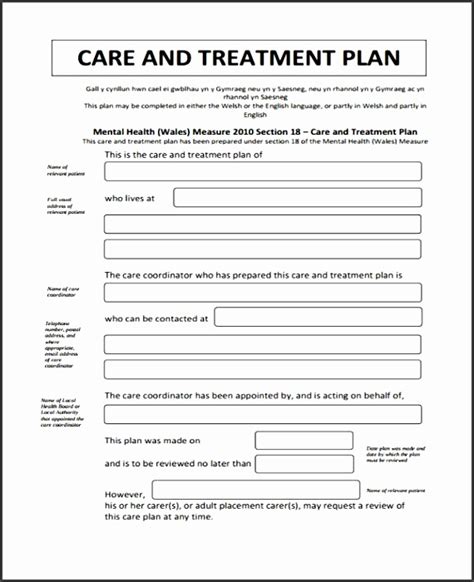 Mental Health Care Plan Template