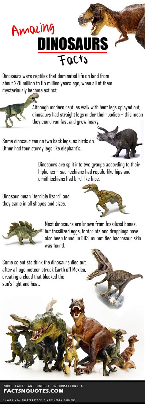 Top 10 Fun Facts About Dinosaurs