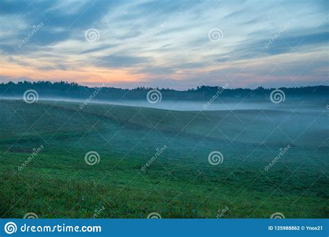 Early Morning With Sunlight Meadow Trees And Fog Nature Photo Stock