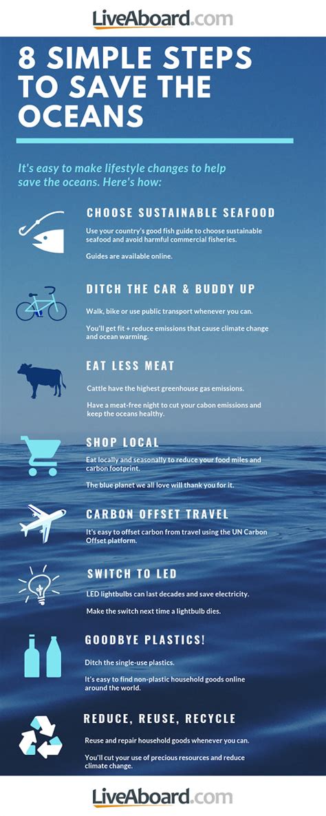 8 Simple Steps You Can Take Right Now To Save The Oceans Environment