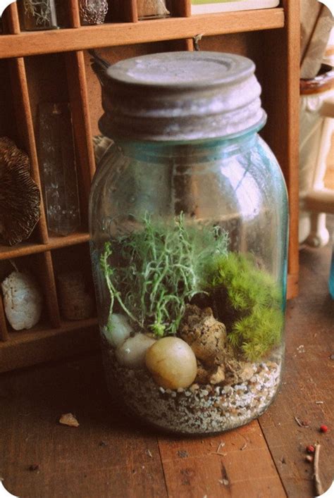 Items Similar To Vintage Blue Mason Jar Terrarium On Etsy