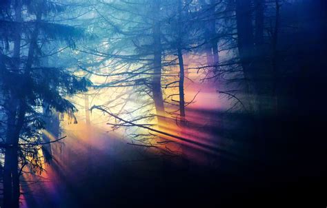 Rainbow Forest Wallpapers Top Free Rainbow Forest Backgrounds