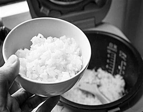How Long Can Rice Cooker Keep Warm Tasty Answer