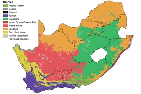 Terrestrial Biomes Of South Africa Download Scientific Diagram