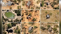 非洲數百隻大象死亡謎團 真相曝光了│國家公園│野生│盜獵│TVBS新聞網