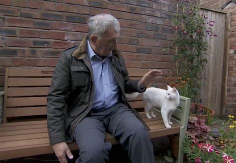 Cat Interrupts BBC Broadcast Wanting To Be Stroked