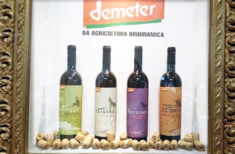 La biodinamica ha come fondamento il. Vini Biodinamici con carattere: Orsogna Winery - Wine at Wine