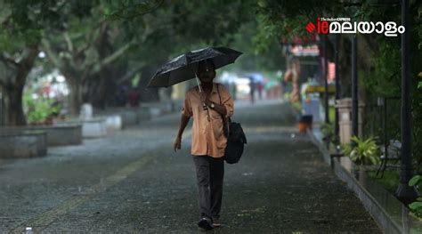 കേരളത്തിൽ ഇന്നും വ്യാപക മഴയ്ക്ക് സാധ്യത 11 ജില്ലകളിൽ യെല്ലോ അലർട്ട്