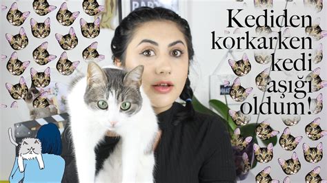 Kedi Korkum Nasıl Yendim Neden Vardı Youtube