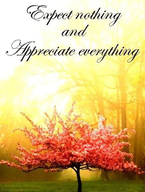 Expect Nothing And Appreciate Everything Quote Via Carols Country