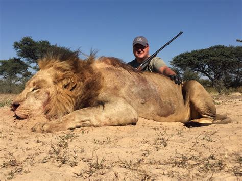 Lion Hunt South Africa Jd African Safaris