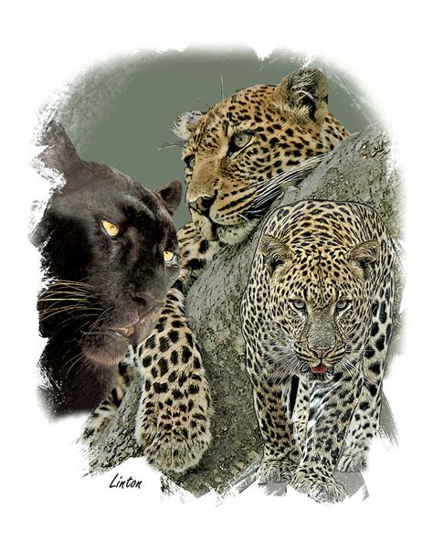 African Leopard 2 Digital Art By Larry Linton Pixels