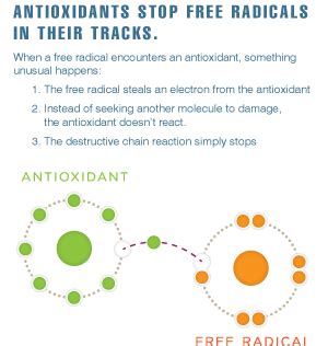 He outlines the role of cellular structures the term 'antioxidant' is defined and common examples given. Free Radical Fact Sheet - Melaleuca Journal