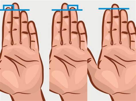Secret Things Your Finger Length Could Say About Your Personality